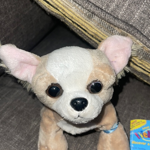 LIL’Kinz WEBKINZ Ganz CHIHUAHUA HS104 hang & butTag NoCode plush stuffed animal - Picture 2 of 8